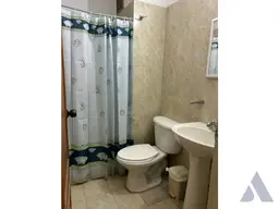 Vista 16