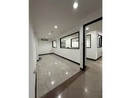 Vista 19