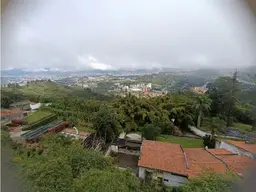 Vista 27