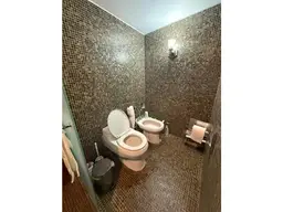 Vista 24