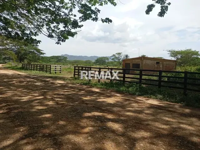 EN VENTA, Finca de 30 hectáreas en La Alegría, a solo 15 min. De YARACAL.