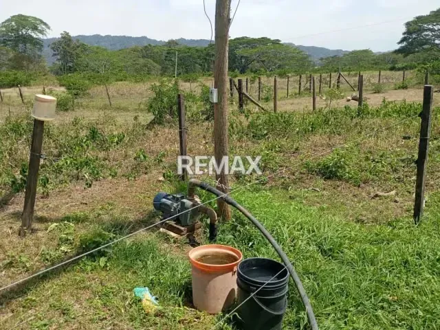 EN VENTA, Finca de 30 hectáreas en La Alegría, a solo 15 min. De YARACAL. - 12