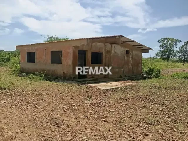 EN VENTA, Finca de 30 hectáreas en La Alegría, a solo 15 min. De YARACAL. - 13