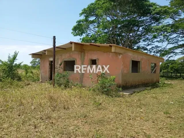 EN VENTA, Finca de 30 hectáreas en La Alegría, a solo 15 min. De YARACAL. - 14