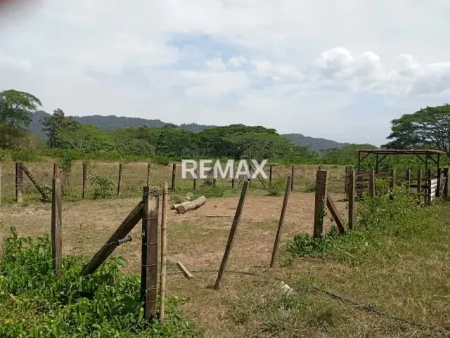 EN VENTA, Finca de 30 hectáreas en La Alegría, a solo 15 min. De YARACAL. - 16