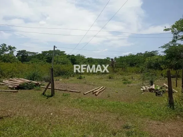 EN VENTA, Finca de 30 hectáreas en La Alegría, a solo 15 min. De YARACAL. - 17