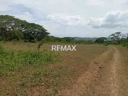 Vista 19