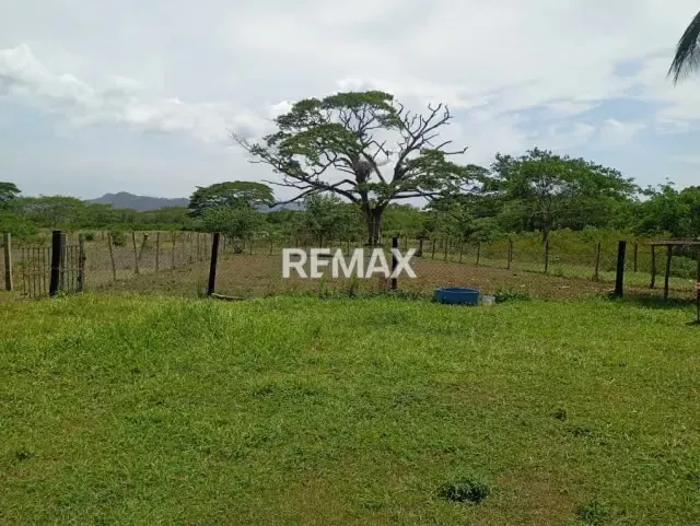 EN VENTA, Finca de 30 hectáreas en La Alegría, a solo 15 min. De YARACAL. - 20