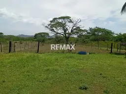 Vista 20