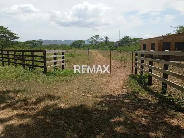EN VENTA, Finca de 30 hectáreas en La Alegría, a solo 15 min. De YARACAL. - 2