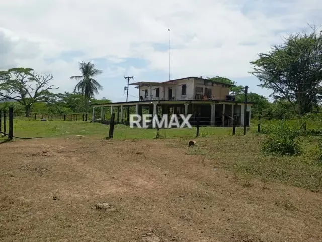 EN VENTA, Finca de 30 hectáreas en La Alegría, a solo 15 min. De YARACAL. - 3