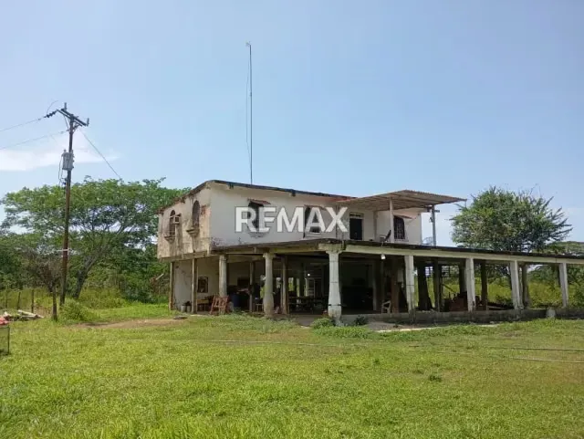 EN VENTA, Finca de 30 hectáreas en La Alegría, a solo 15 min. De YARACAL. - 4