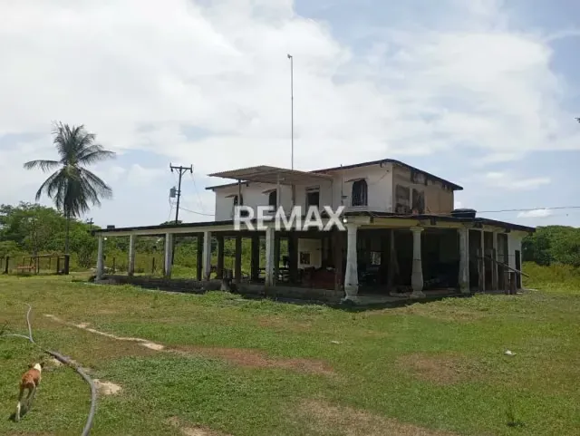 EN VENTA, Finca de 30 hectáreas en La Alegría, a solo 15 min. De YARACAL. - 5