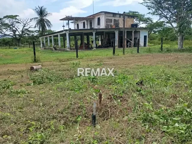 EN VENTA, Finca de 30 hectáreas en La Alegría, a solo 15 min. De YARACAL. - 6