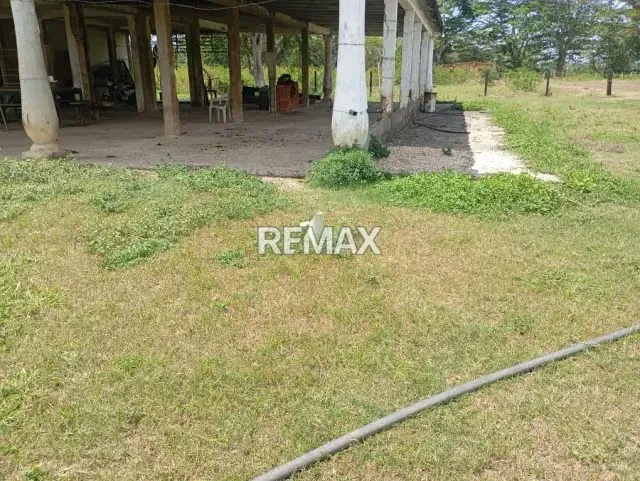 EN VENTA, Finca de 30 hectáreas en La Alegría, a solo 15 min. De YARACAL. - 7