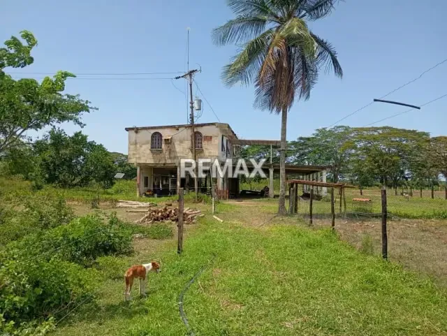 EN VENTA, Finca de 30 hectáreas en La Alegría, a solo 15 min. De YARACAL. - 8