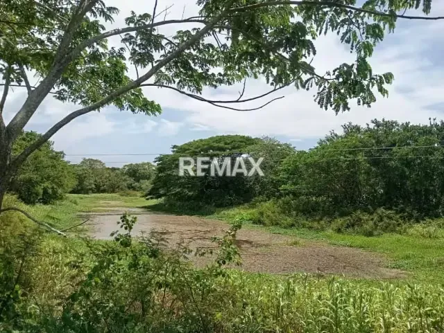 EN VENTA, Finca de 30 hectáreas en La Alegría, a solo 15 min. De YARACAL. - 9