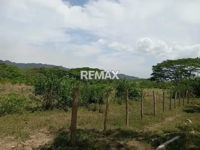 EN VENTA, Finca de 30 hectáreas en La Alegría, a solo 15 min. De YARACAL. - 10