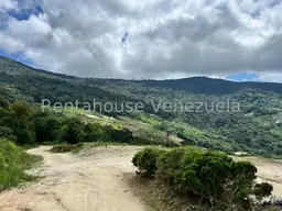 Vista 11