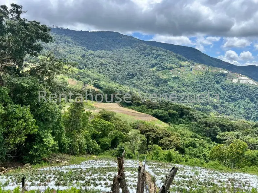 Terreno (Comercial) en Venta en La Colonia Tovar, Aragua - 14