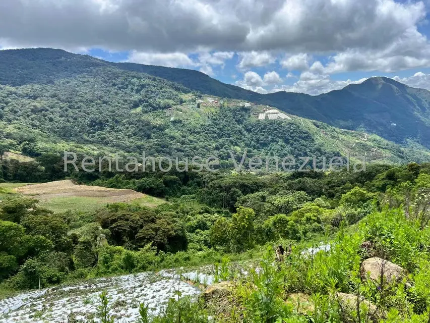 Terreno (Comercial) en Venta en La Colonia Tovar, Aragua - 15