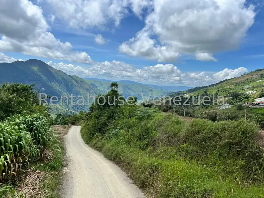 Terreno (Comercial) en Venta en La Colonia Tovar, Aragua - 16