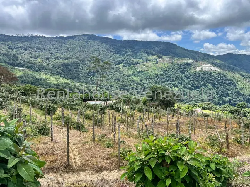 Terreno (Comercial) en Venta en La Colonia Tovar, Aragua - 17