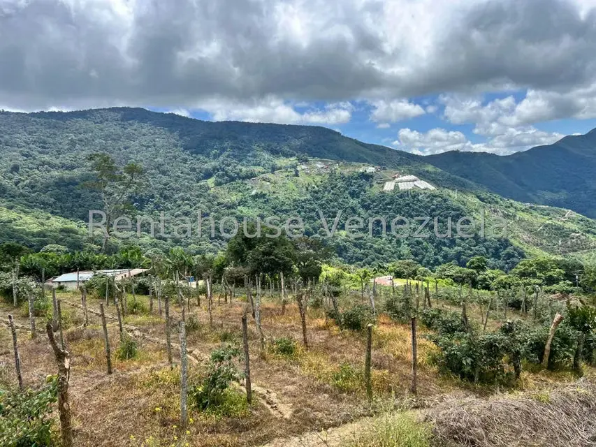 Terreno (Comercial) en Venta en La Colonia Tovar, Aragua - 18