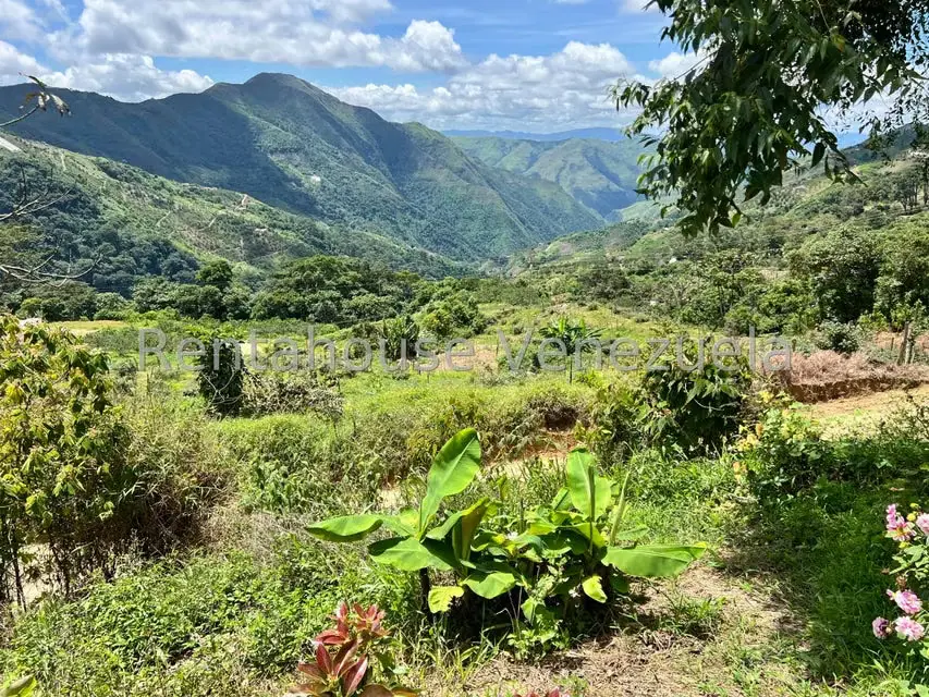 Terreno (Comercial) en Venta en La Colonia Tovar, Aragua - 20