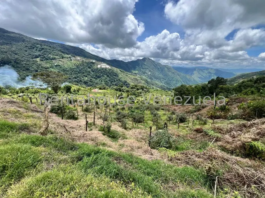 Terreno (Comercial) en Venta en La Colonia Tovar, Aragua - 21