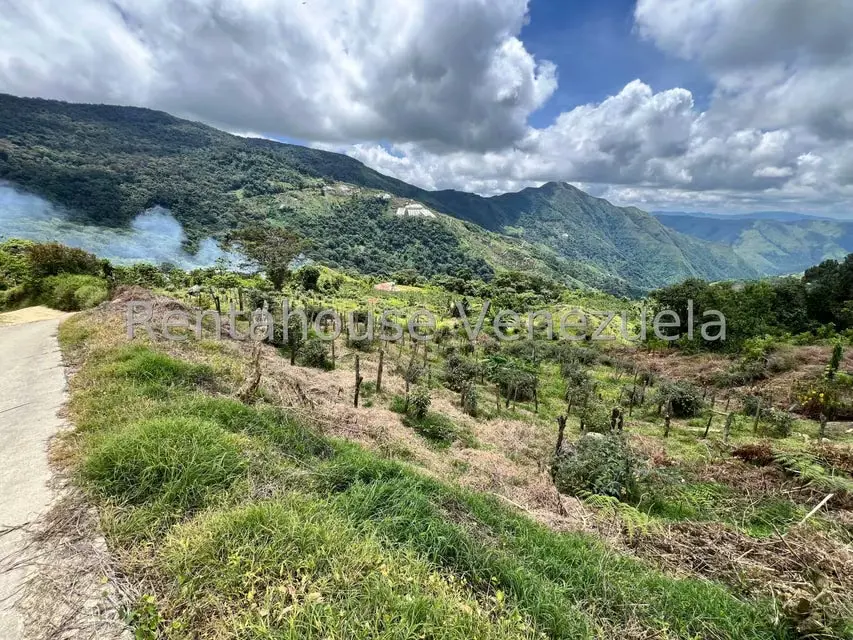 Terreno (Comercial) en Venta en La Colonia Tovar, Aragua - 22