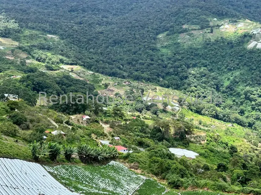 Terreno (Comercial) en Venta en La Colonia Tovar, Aragua - 25
