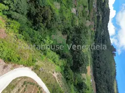 Vista 29