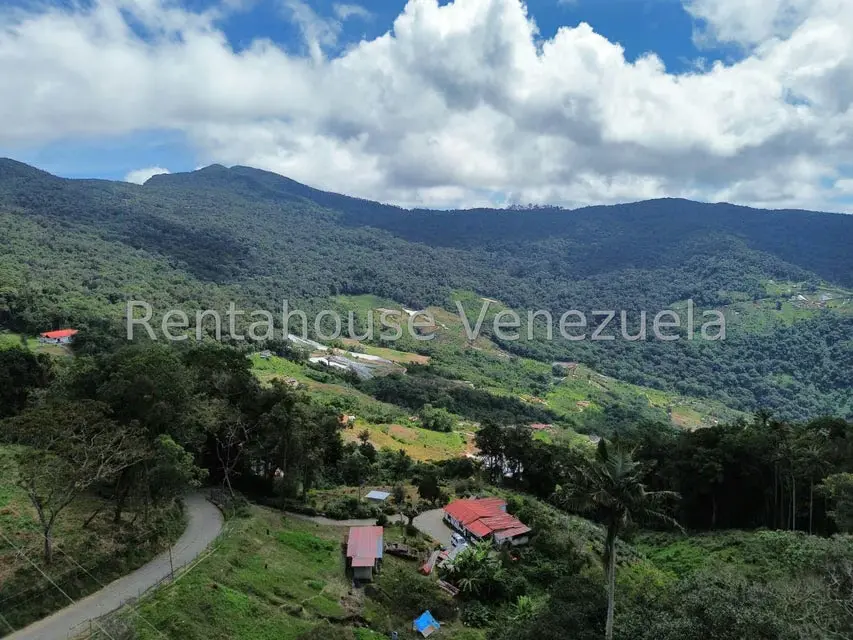 Terreno (Comercial) en Venta en La Colonia Tovar, Aragua - 3