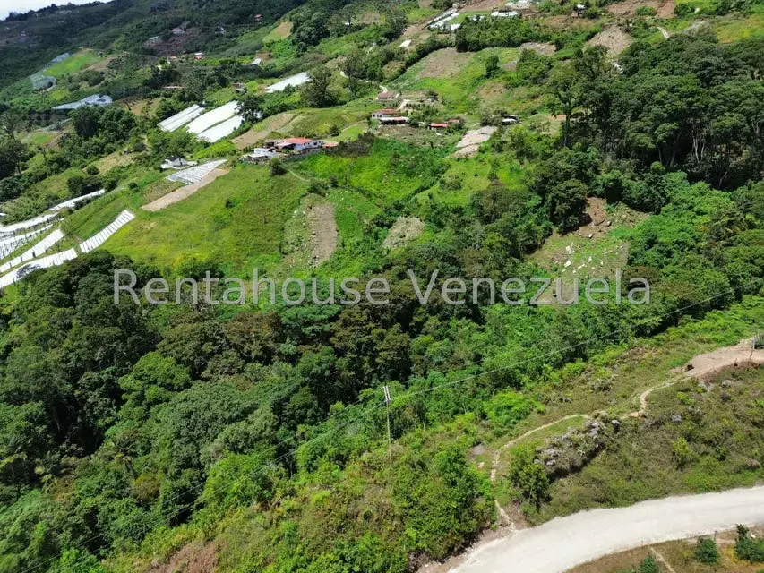 Terreno (Comercial) en Venta en La Colonia Tovar, Aragua - 31
