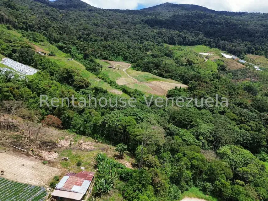 Terreno (Comercial) en Venta en La Colonia Tovar, Aragua - 32