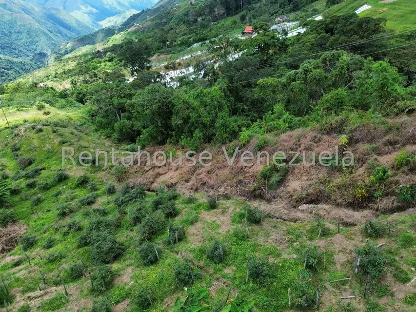 Terreno (Comercial) en Venta en La Colonia Tovar, Aragua - 33