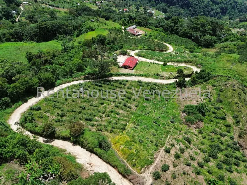 Terreno (Comercial) en Venta en La Colonia Tovar, Aragua - 35