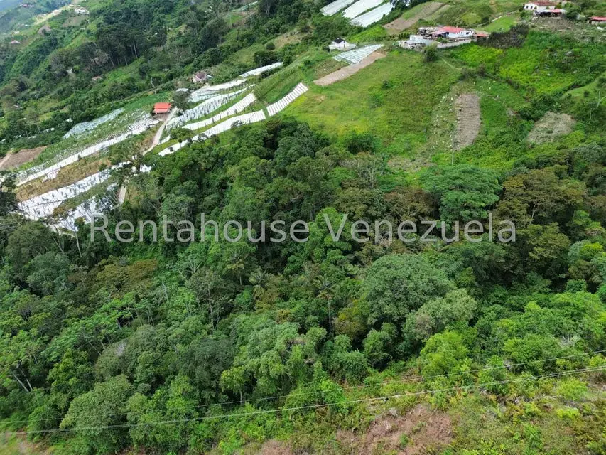 Terreno (Comercial) en Venta en La Colonia Tovar, Aragua - 36