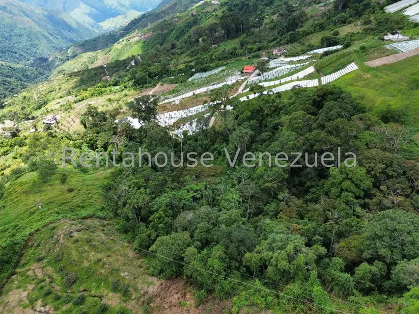 Terreno (Comercial) en Venta en La Colonia Tovar, Aragua - 37