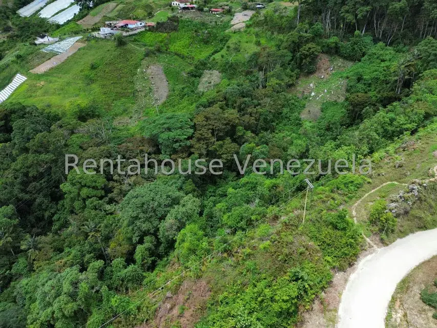 Terreno (Comercial) en Venta en La Colonia Tovar, Aragua - 38