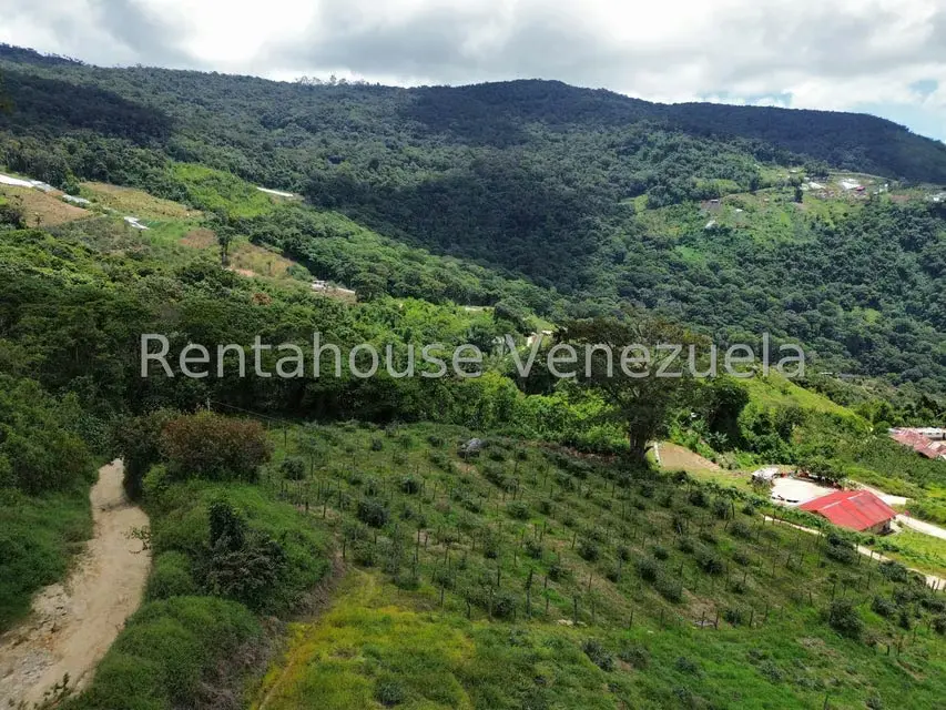 Terreno (Comercial) en Venta en La Colonia Tovar, Aragua - 4