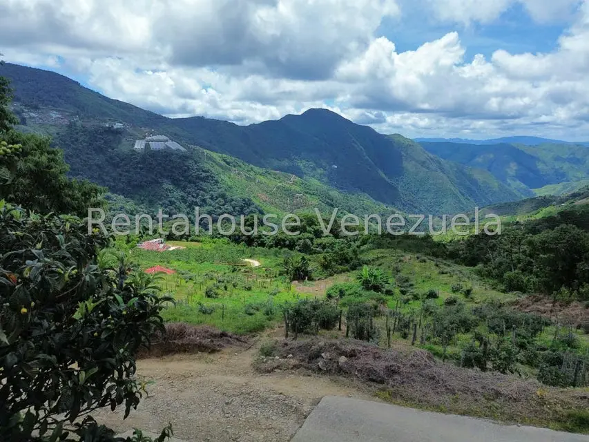 Terreno (Comercial) en Venta en La Colonia Tovar, Aragua - 43