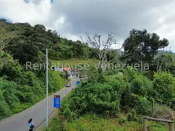 Vista 44