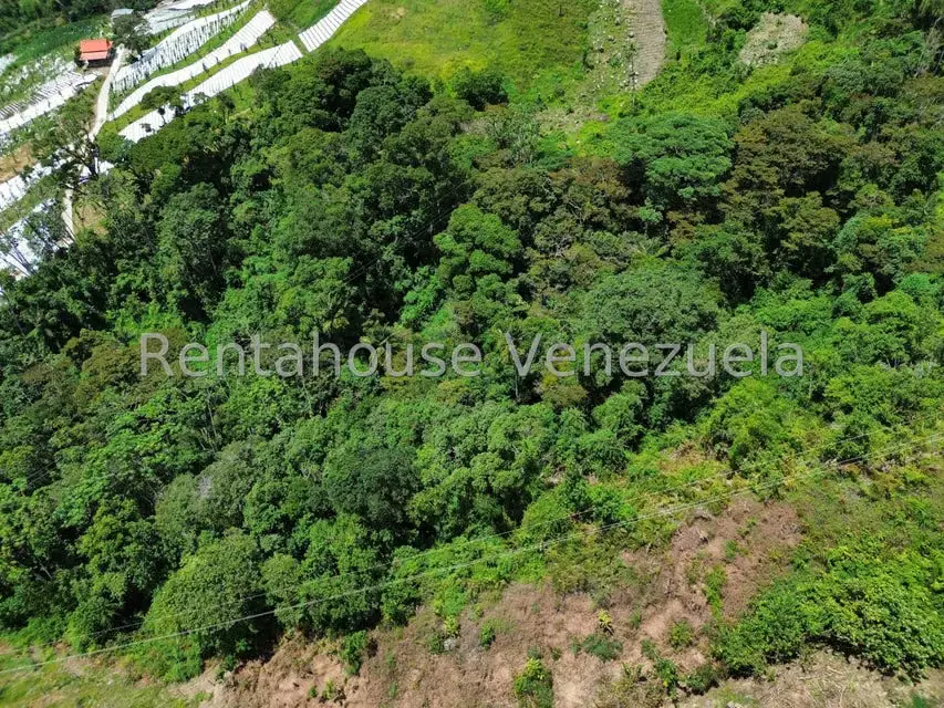 Terreno (Comercial) en Venta en La Colonia Tovar, Aragua - 46
