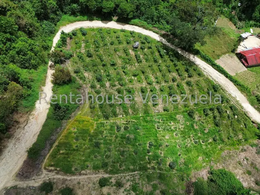 Terreno (Comercial) en Venta en La Colonia Tovar, Aragua - 48