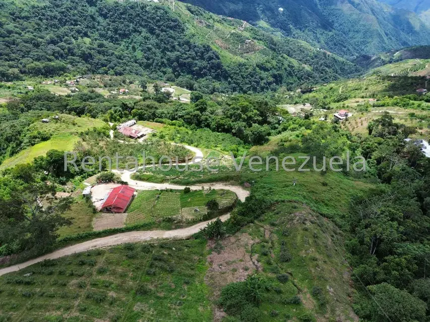 Terreno (Comercial) en Venta en La Colonia Tovar, Aragua - 50