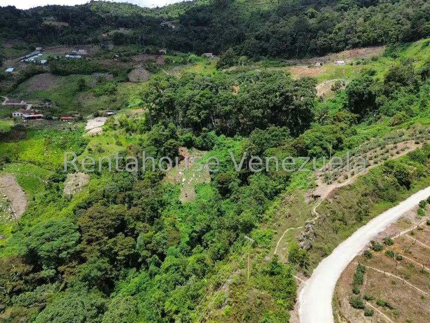 Terreno (Comercial) en Venta en La Colonia Tovar, Aragua - 5