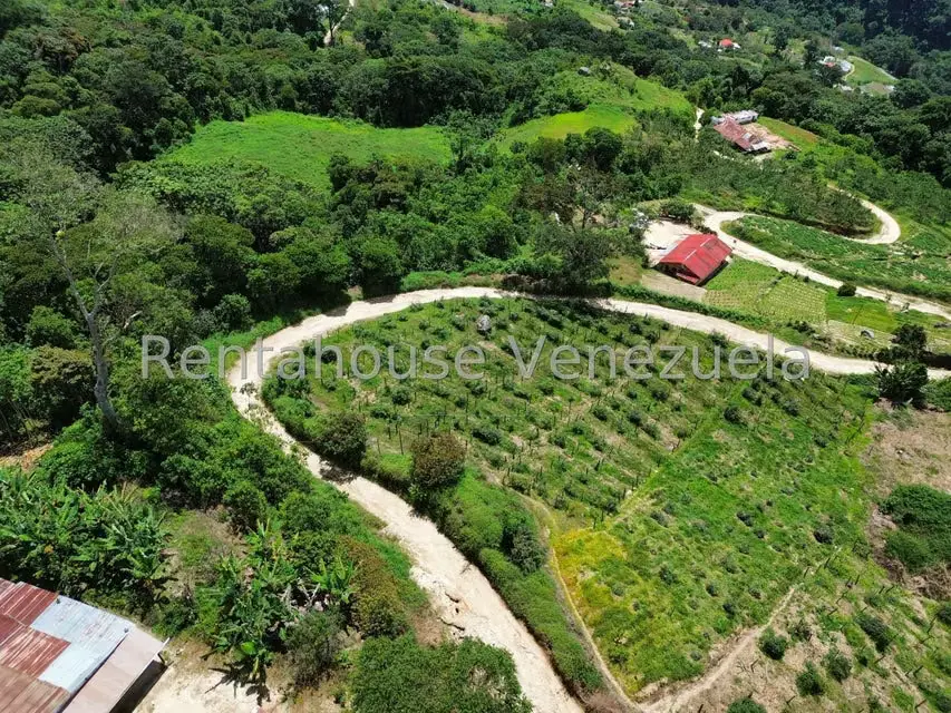 Terreno (Comercial) en Venta en La Colonia Tovar, Aragua - 52