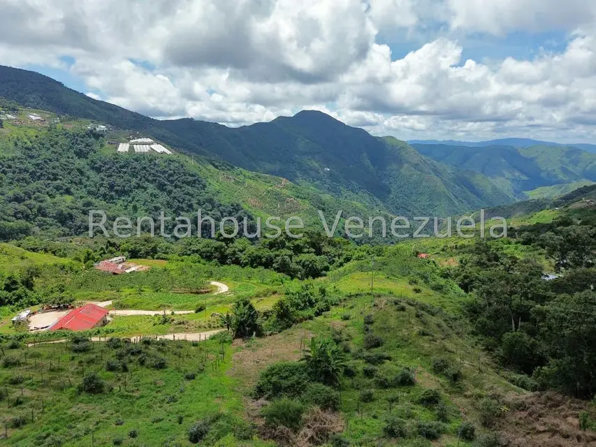 Terreno (Comercial) en Venta en La Colonia Tovar, Aragua - 54